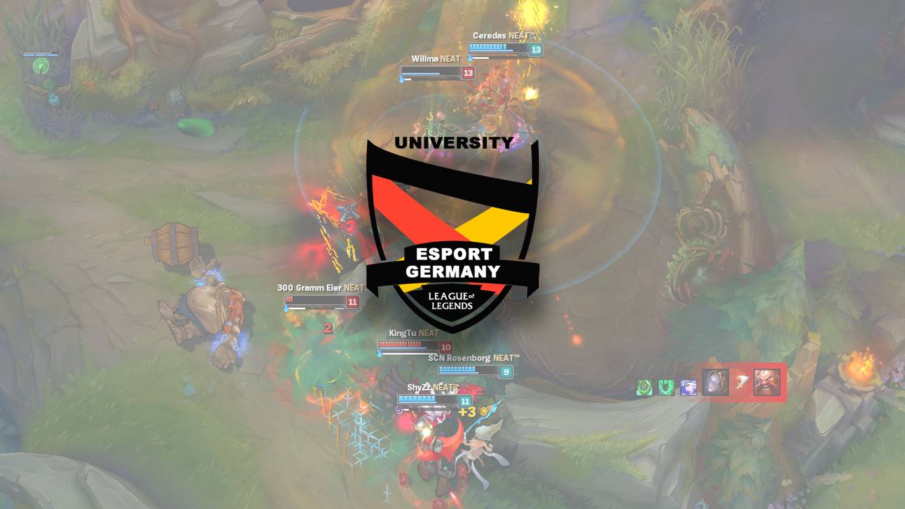 Das NEAT – Dilemma