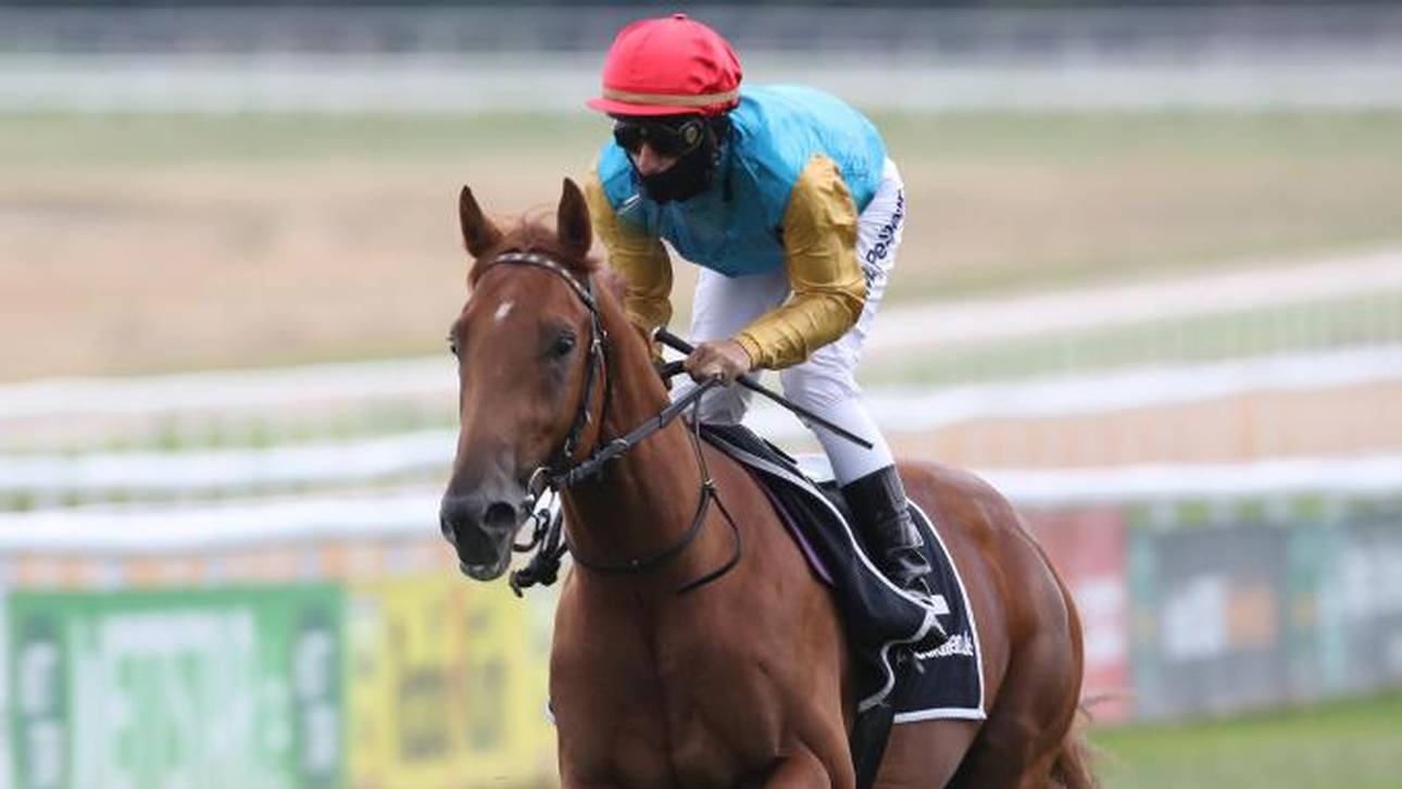 Ist das der nächste Derbysieger?