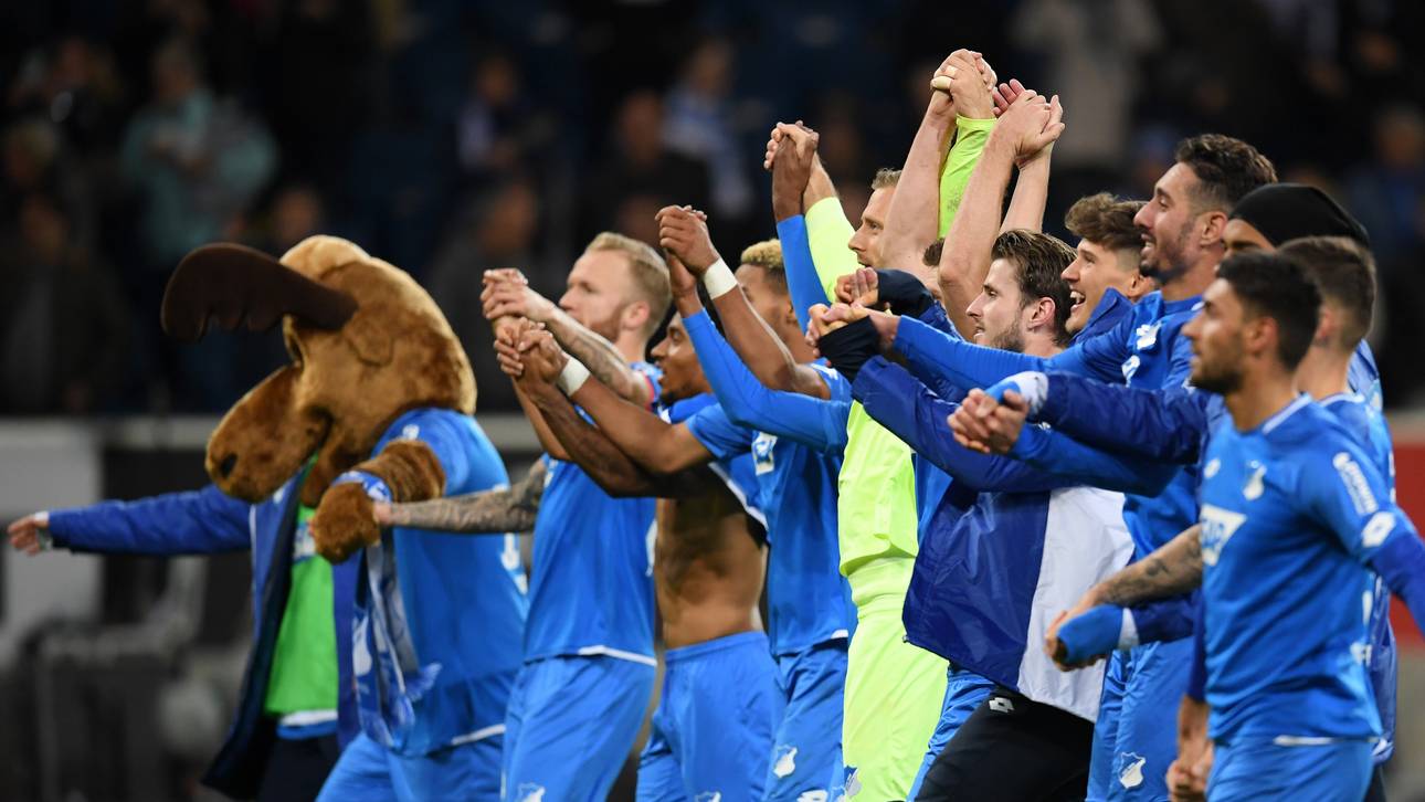 Hoffenheim mit Rekordumsatz