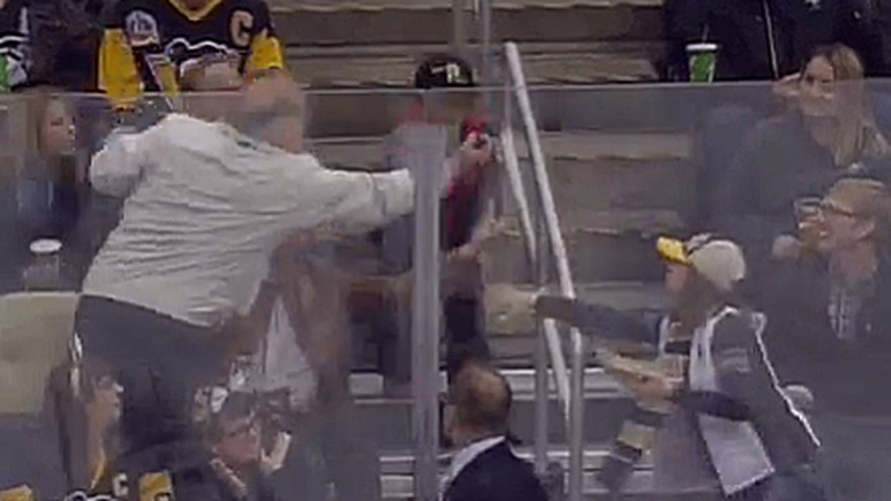 NHL-Fan klaut Kind den Puck