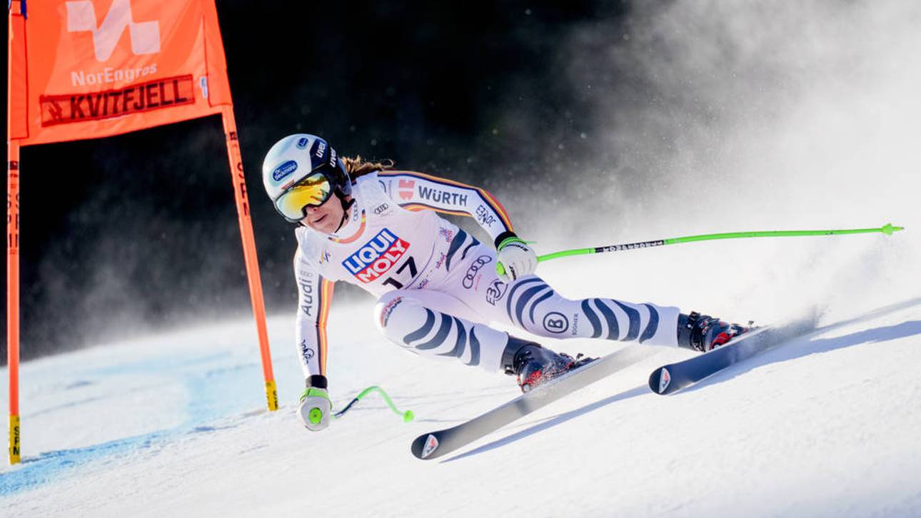 „Sie durchschlägt zwei Zäune“