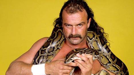 Jake "The Snake" Roberts zog 2014 in die WWE Hall of Fame ein