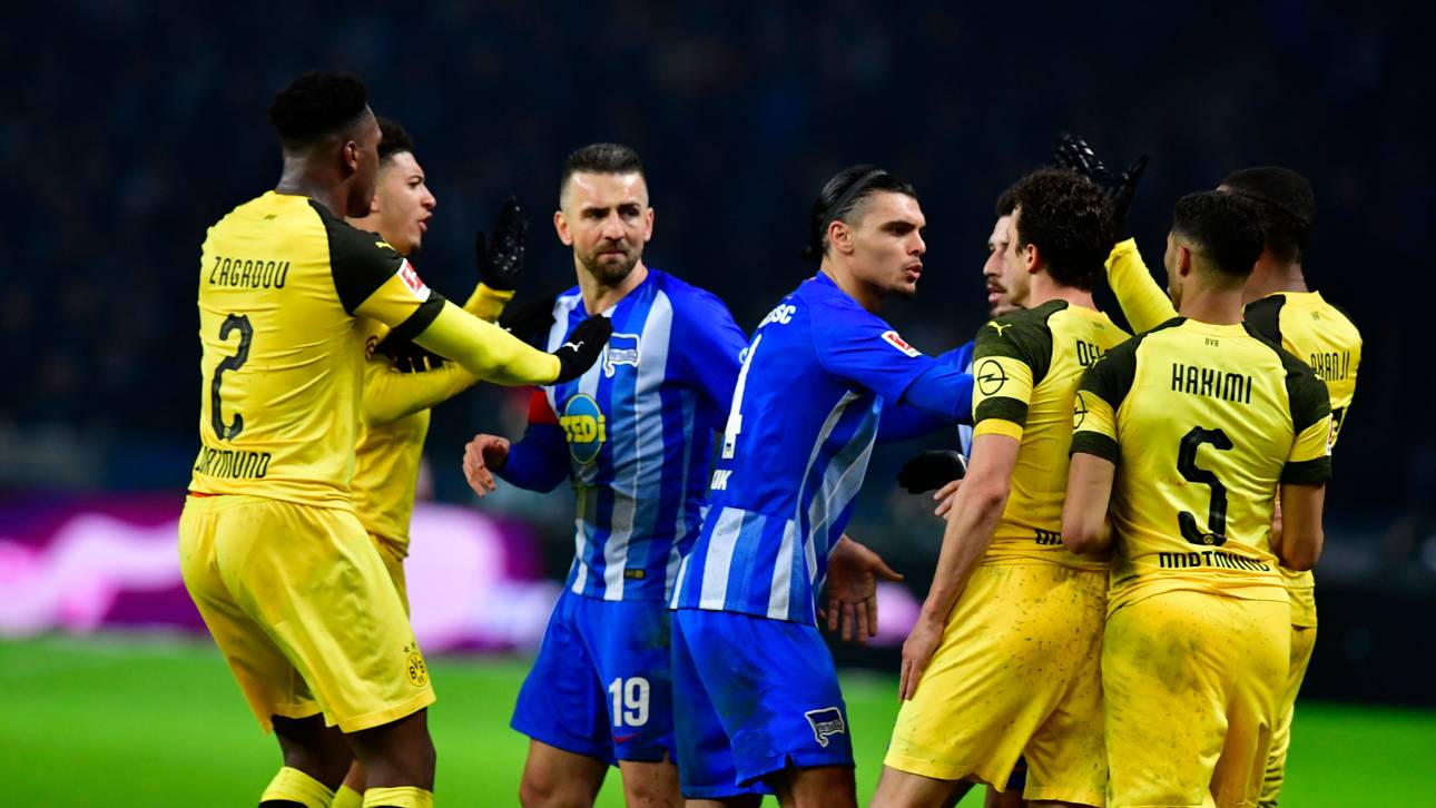 Ibisevic: Zweiter Hertha-Einspruch