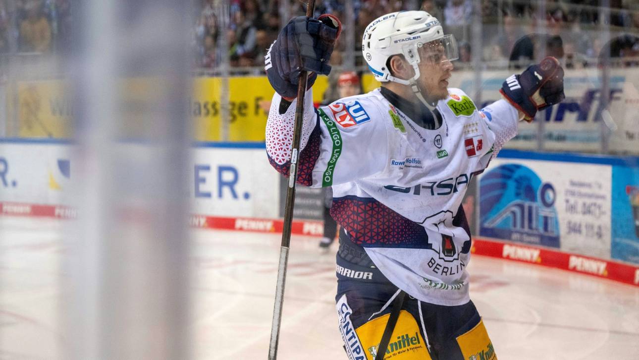 Hungrige Eisbären mit besonderem Titel