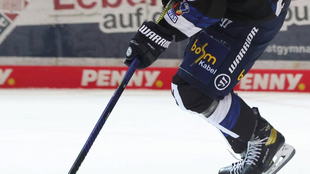 Adler schnappen sich Angreifer