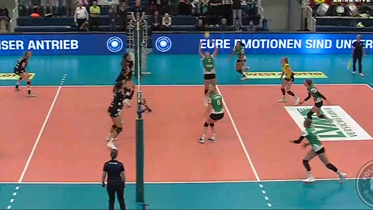 Dresden schlägt Münster souverän