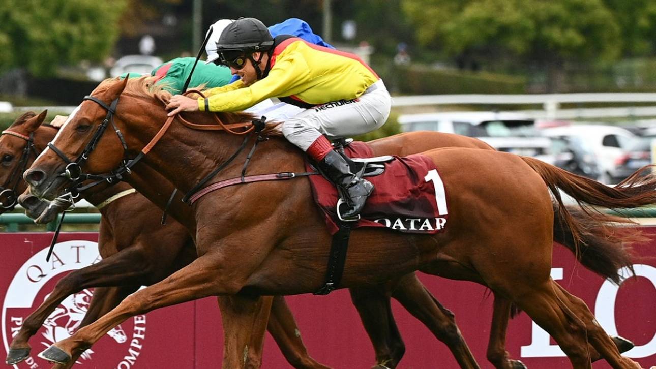 Torquator Tasso knapp geschlagen