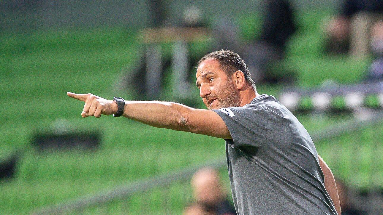 Schmidt erklärt Kuhglocken-Aktion