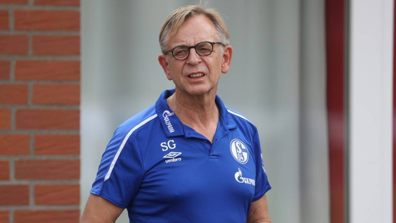 Machtkampf auf Schalke: Aufsichtsrat Gesenhues tritt zurück