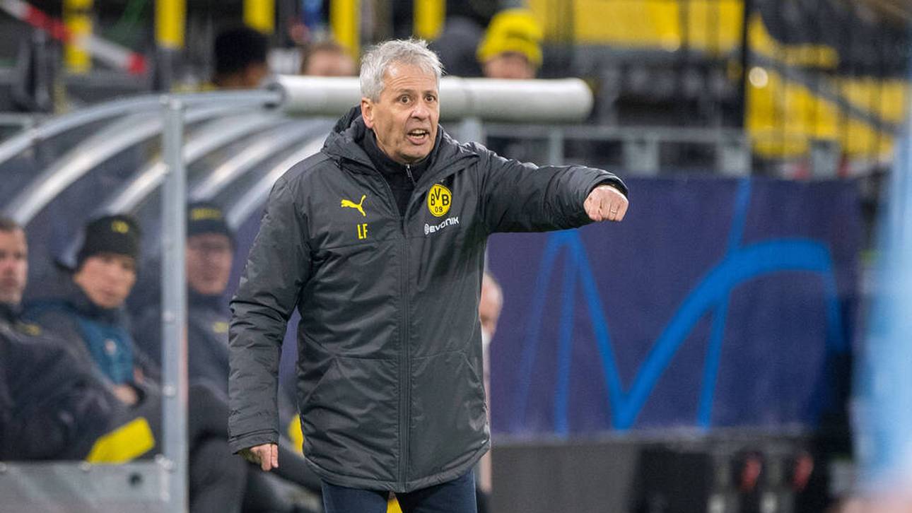 Zieht es Favre auf die Insel?