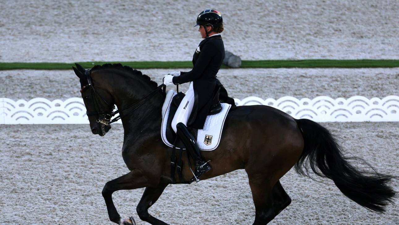 Schneider startet mit Faustus