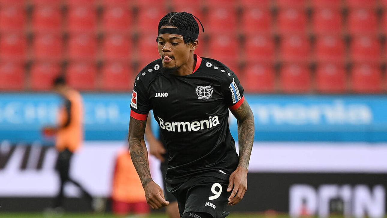 Bailey zieht es auf die Insel