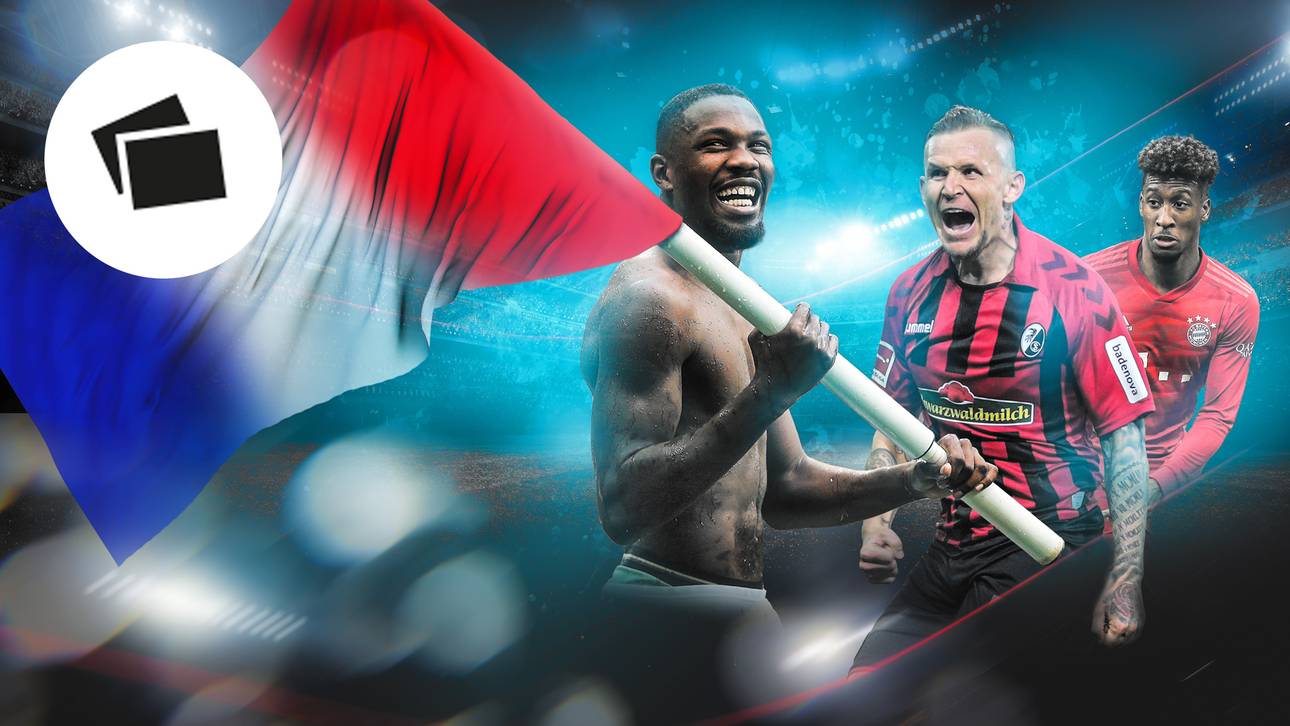 Die Top-Franzosen in der Bundesliga