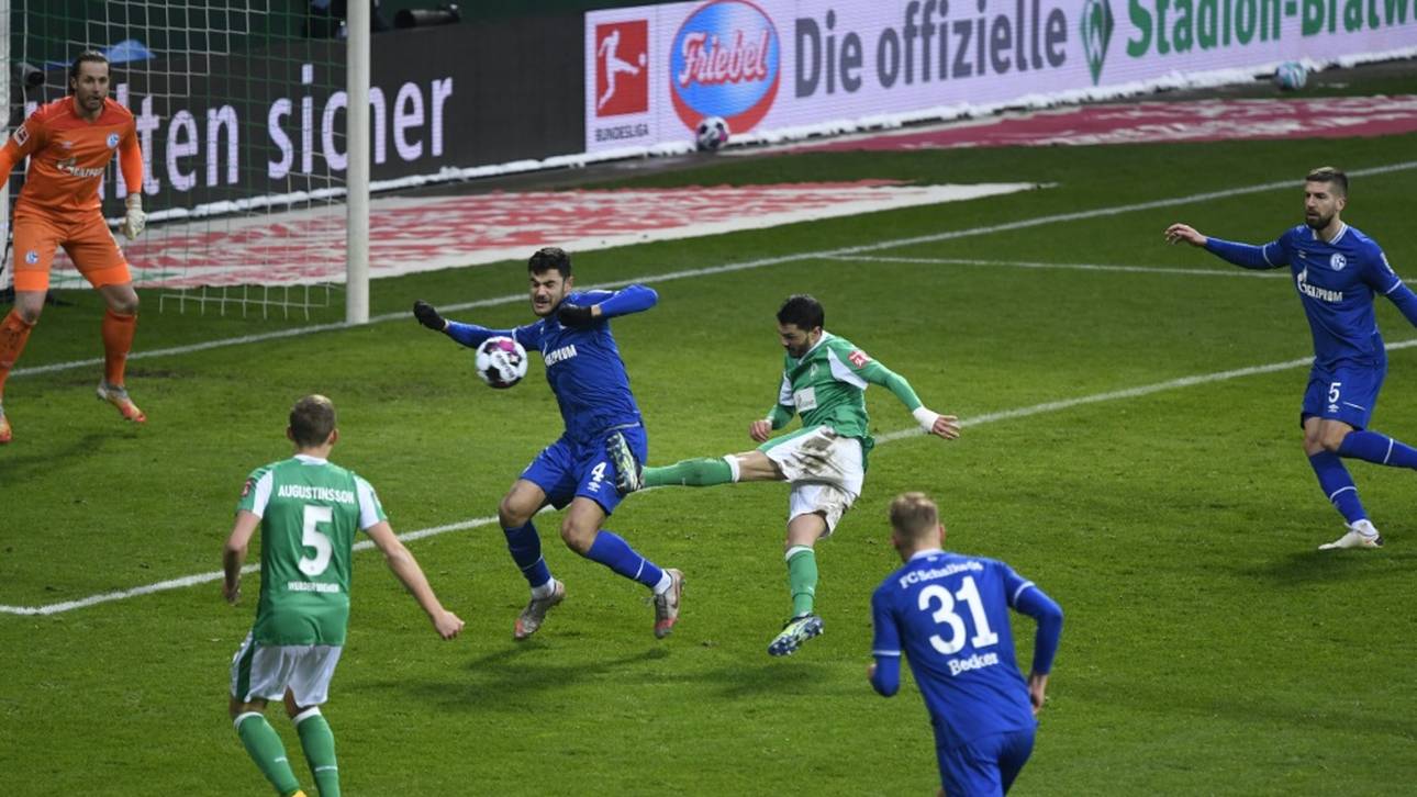Schalke verschenkt Sieg bei Werder