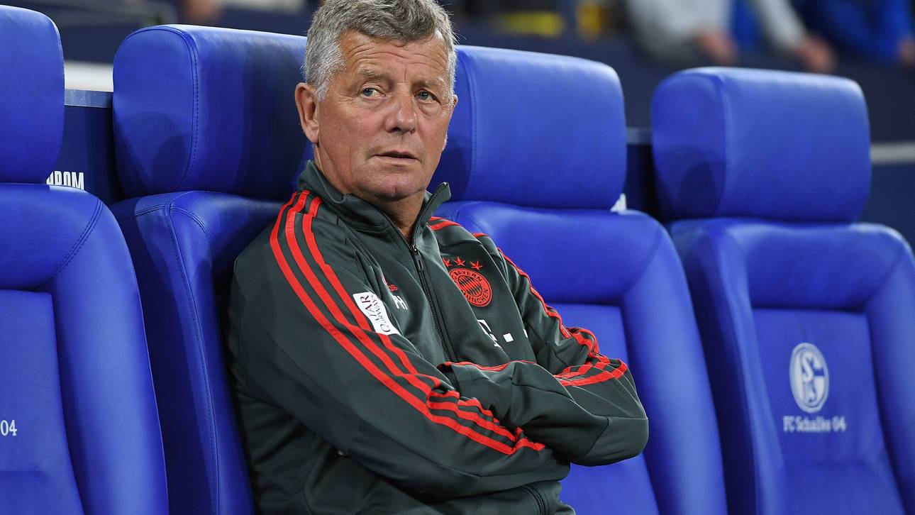 Trainer-Überraschung auf Schalke