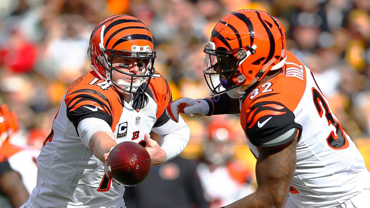 Bengals wollen Serie ausbauen