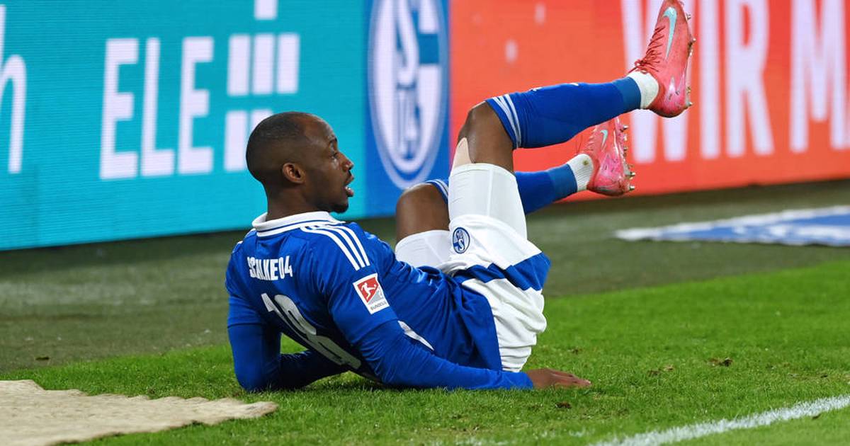 FC Schalke 04: | 