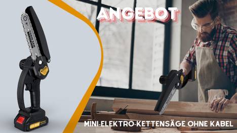 Mini Kettensäge mit Akku – Top-Angebot!