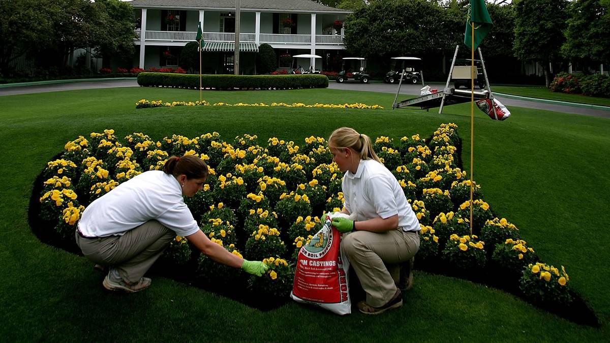 Oft wird Hand angelegt und Blumen einzeln mit Farbe angesprüht, damit sie noch besser aussehen