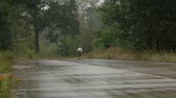 Irres Laufspektakel! Deutscher muss unter Schmerzen aufgeben