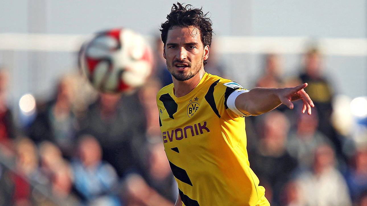 Hummels im Kampf gegen den WM-Kater