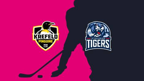 Krefeld Pinguine - Straubing Tigers: Tore und Highlights | PENNY DEL