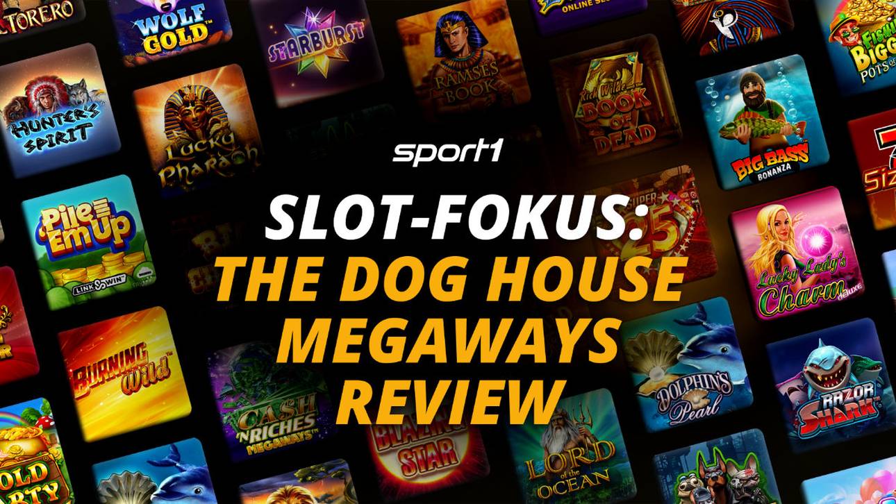 The Dog House Megaways Slot Erfahrungen – Analyse und Test
