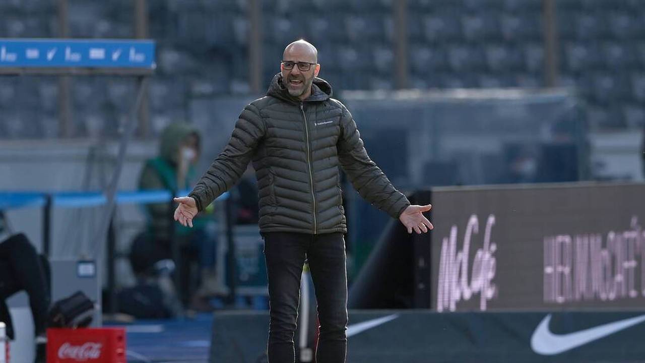 Newsflash: Peter Bosz wird als Trainer von Bayer Leverkusen entlassen