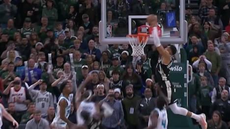 Giannis Antetokounmpo lieferte, als es darauf ankam, und sicherte den Milwaukee Bucks mit einem Alley-Oop den Sieg gegen die Hornets in der NBA.