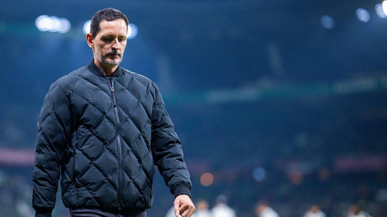 Toppmöller vor neuem Trainer-Job