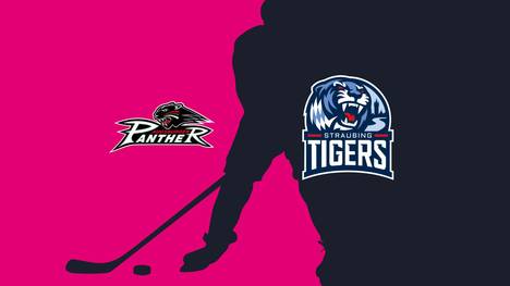 Augsburger Panther - Straubing Tigers: Tore und Highlights | PENNY DEL