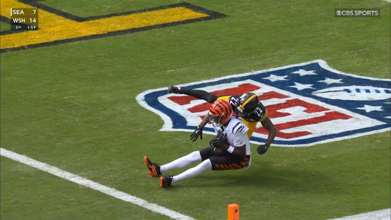 Dieser Touchdown verzückt die NFL