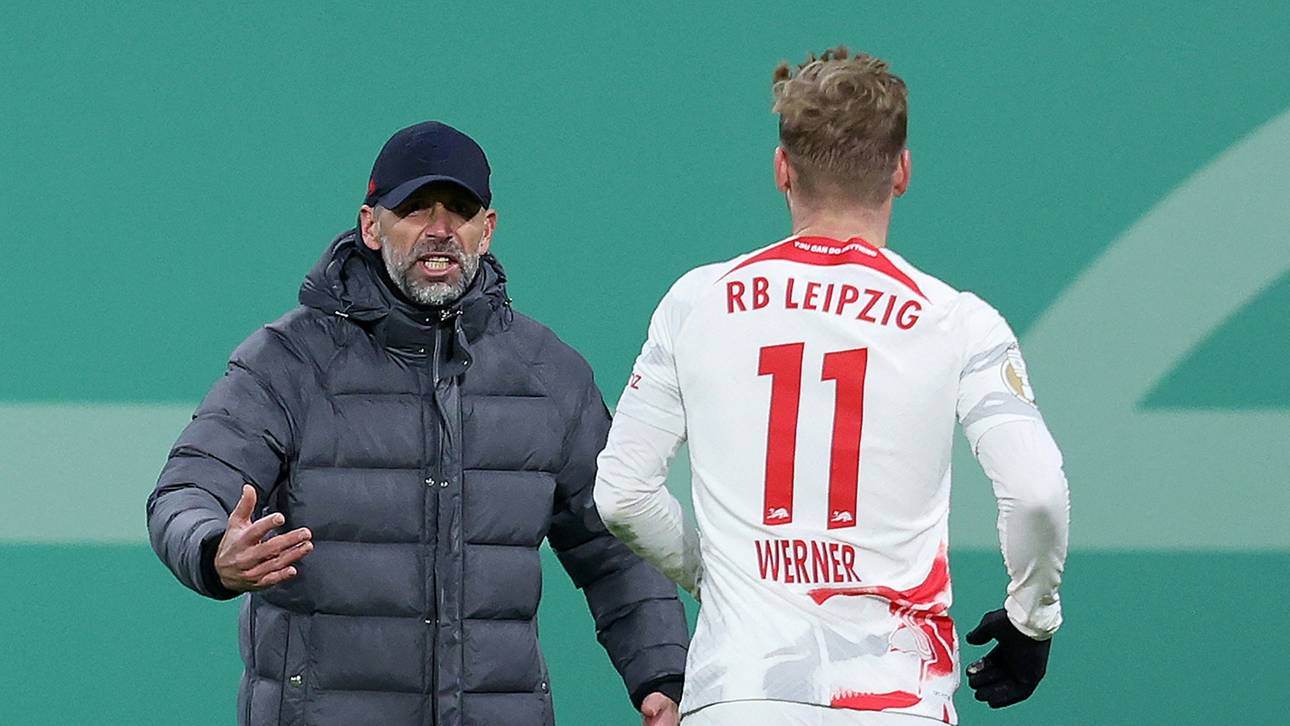 Rose nimmt Werner in Schutz