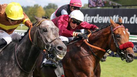 Großer Preis von Baden: Zagrey (l.) gewinnt vor Mr Hollywood - der deutsche Derbysieger Fantastic Moon nahm kurzfristig nicht am Rennen teil