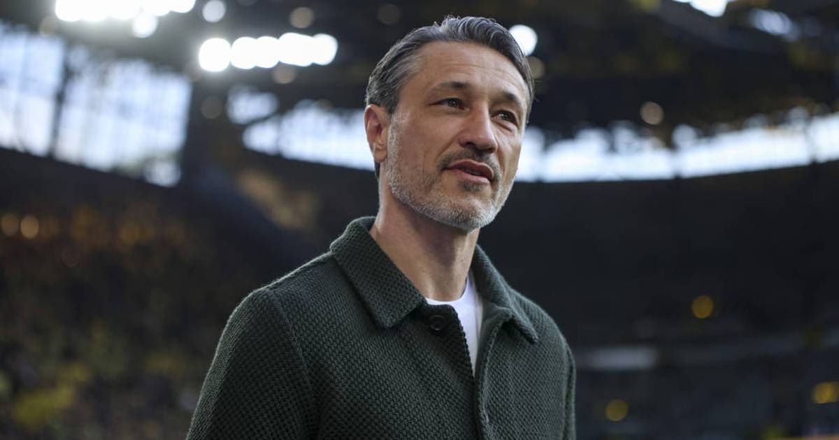 BVB: XXL-Vertrag? Das ist der Stand bei Kovac