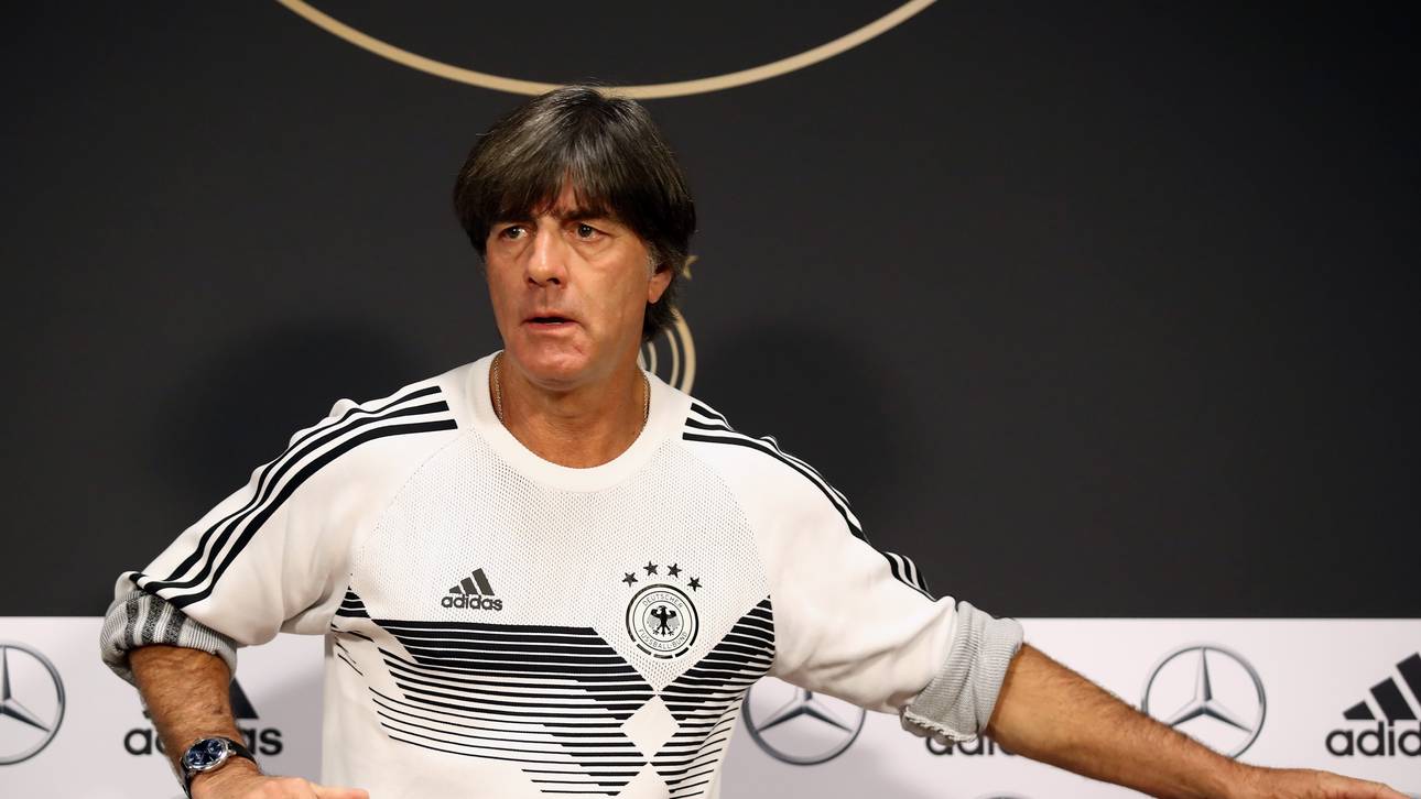Löw: Ballack-Kritik „völlig egal“