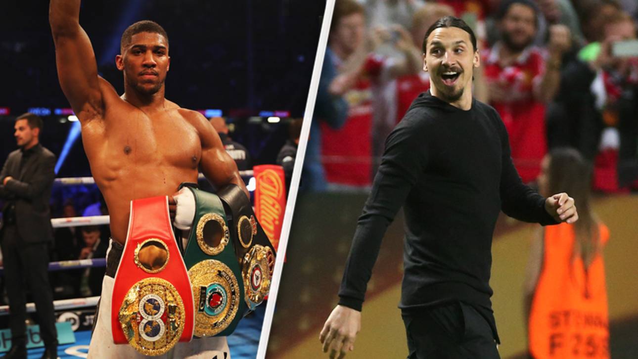 Joshua: Ibrahimovic gab mir Tipp