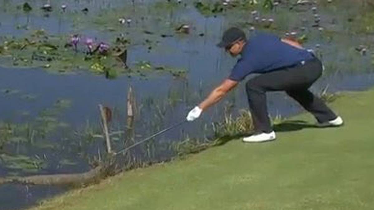 Team Schweden macht beim olympischen Golfturnier Bekanntschaft mit einem Kaiman. So wie es aussieht, hat Henrik Stenson keine Kroko-Phobie...