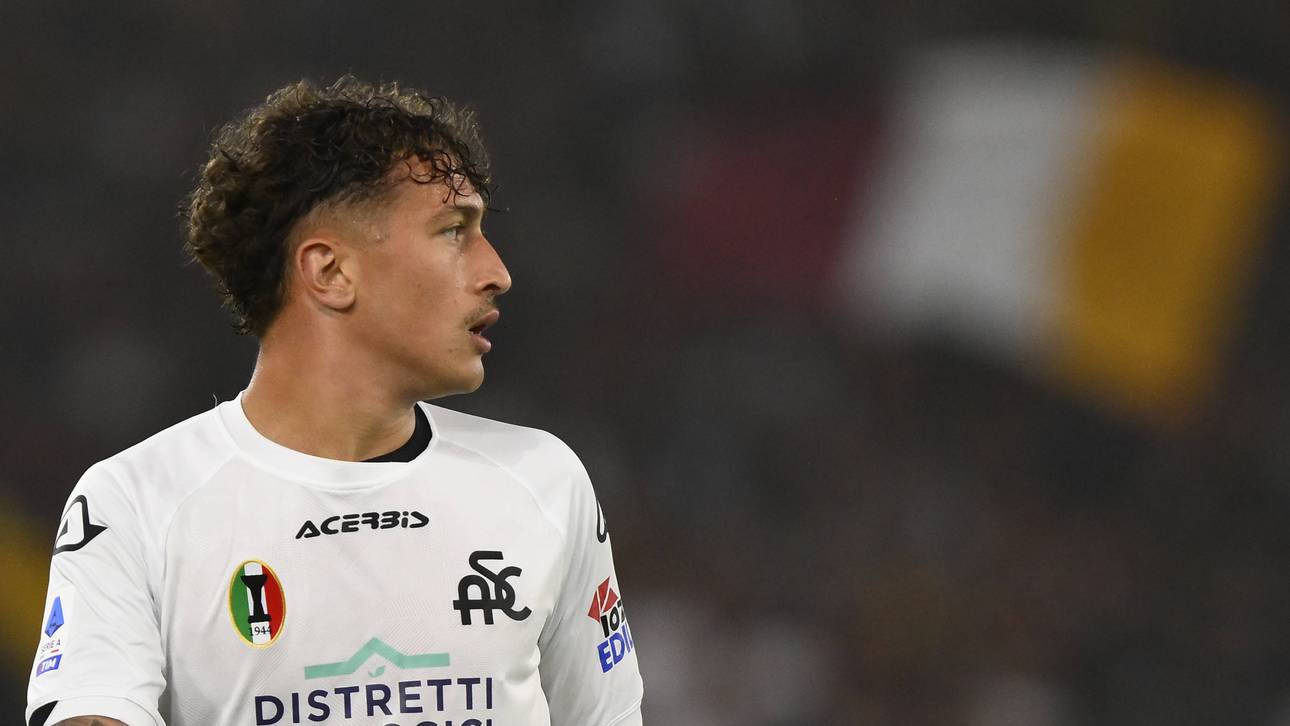 Drei Brüder, drei Niederlagen