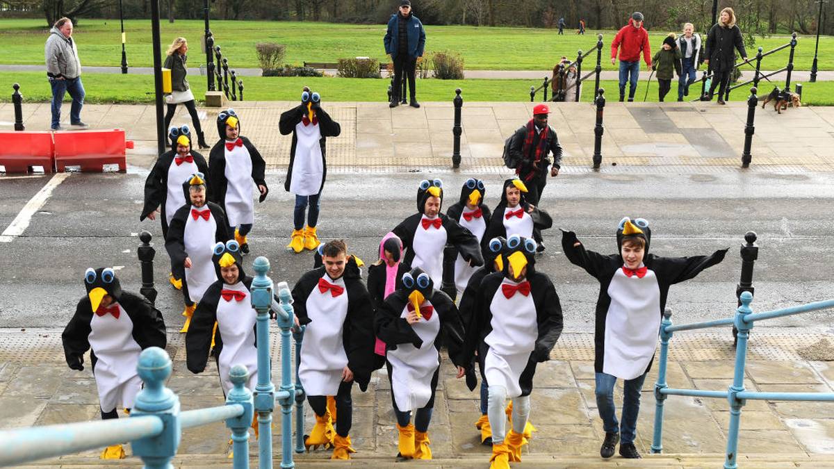 Ob diese Horde Pinguine aus dem Londoner Zoo entkommen ist?