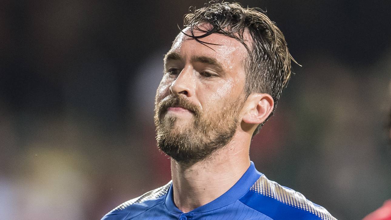 Fuchs verletzt sich kurios