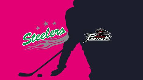 Bietigheim Steelers - Augsburger Panther: Tore und Highlights | PENNY DEL