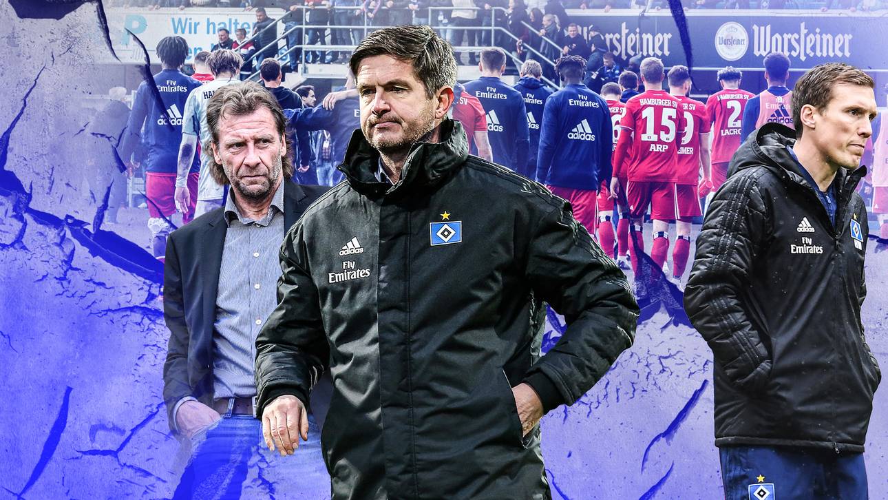 Das fordert HSV-Urgestein Rolff
