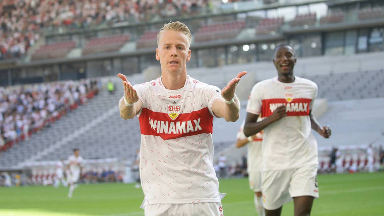 Eine Art Robben für Deutschland