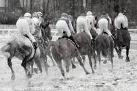 Reit-Horror: Zwei Jockeys sterben nach Stürzen