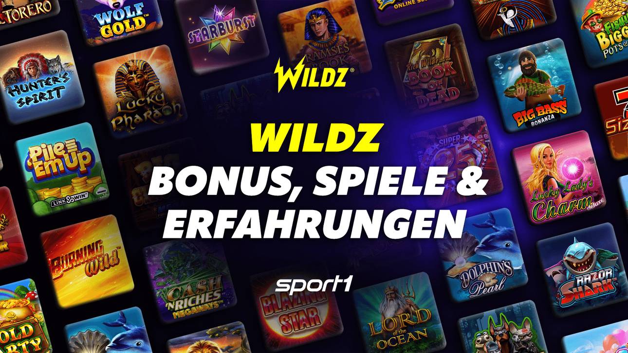 Wildz Erfahrungen 2026