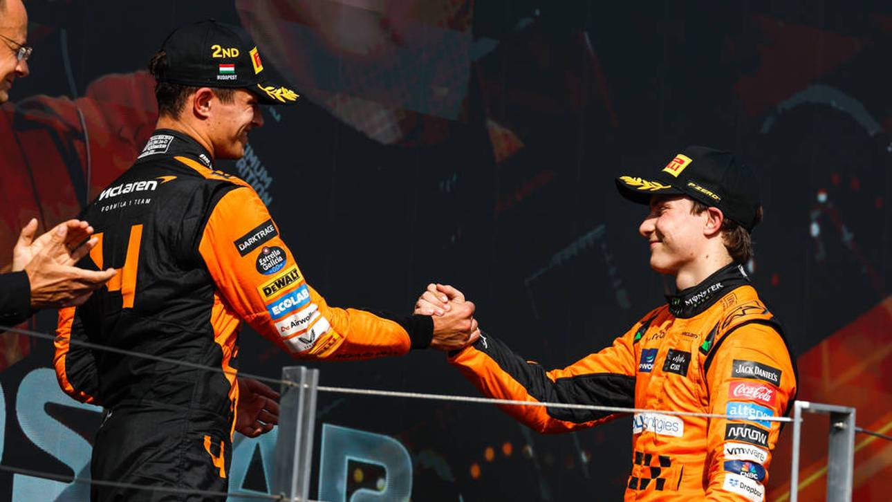 „Wollten nicht wie Idioten aussehen“