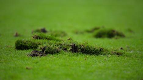 Der Rasen im Duisburger Stadion ist unbespielbar