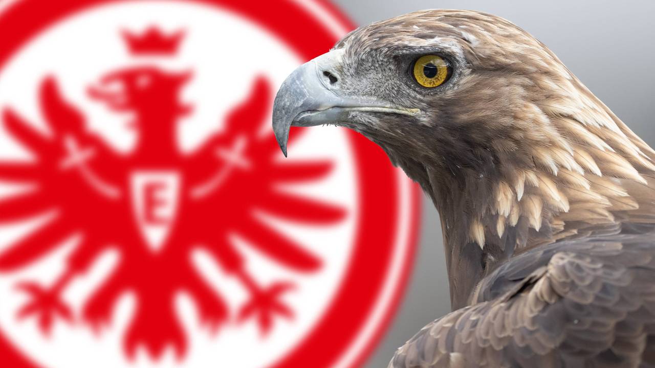 Frankfurt-Toptalent wechselt zu Barca