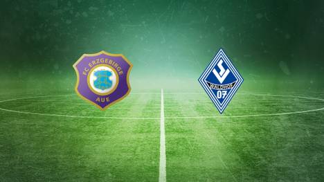 Erzgebirge Aue - SV Waldhof Mannheim: Tore und Highlights | 3. Liga